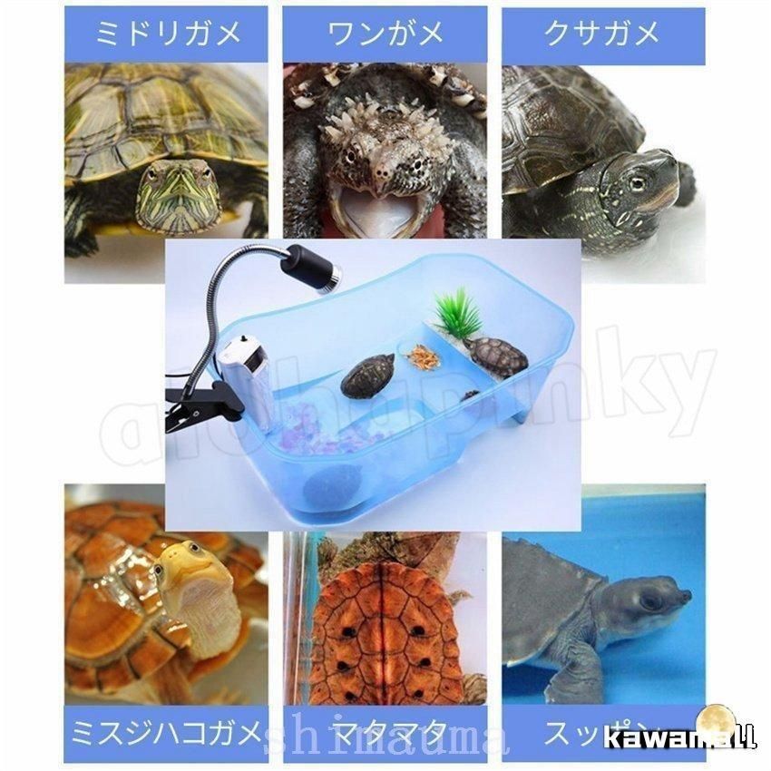 亀の水槽両生類カメの楽園飼育ケースボックスタートルタンク