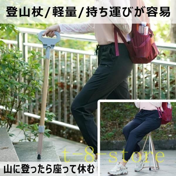 杖
