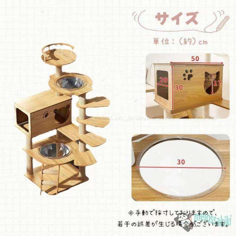 短足猫 シニア猫