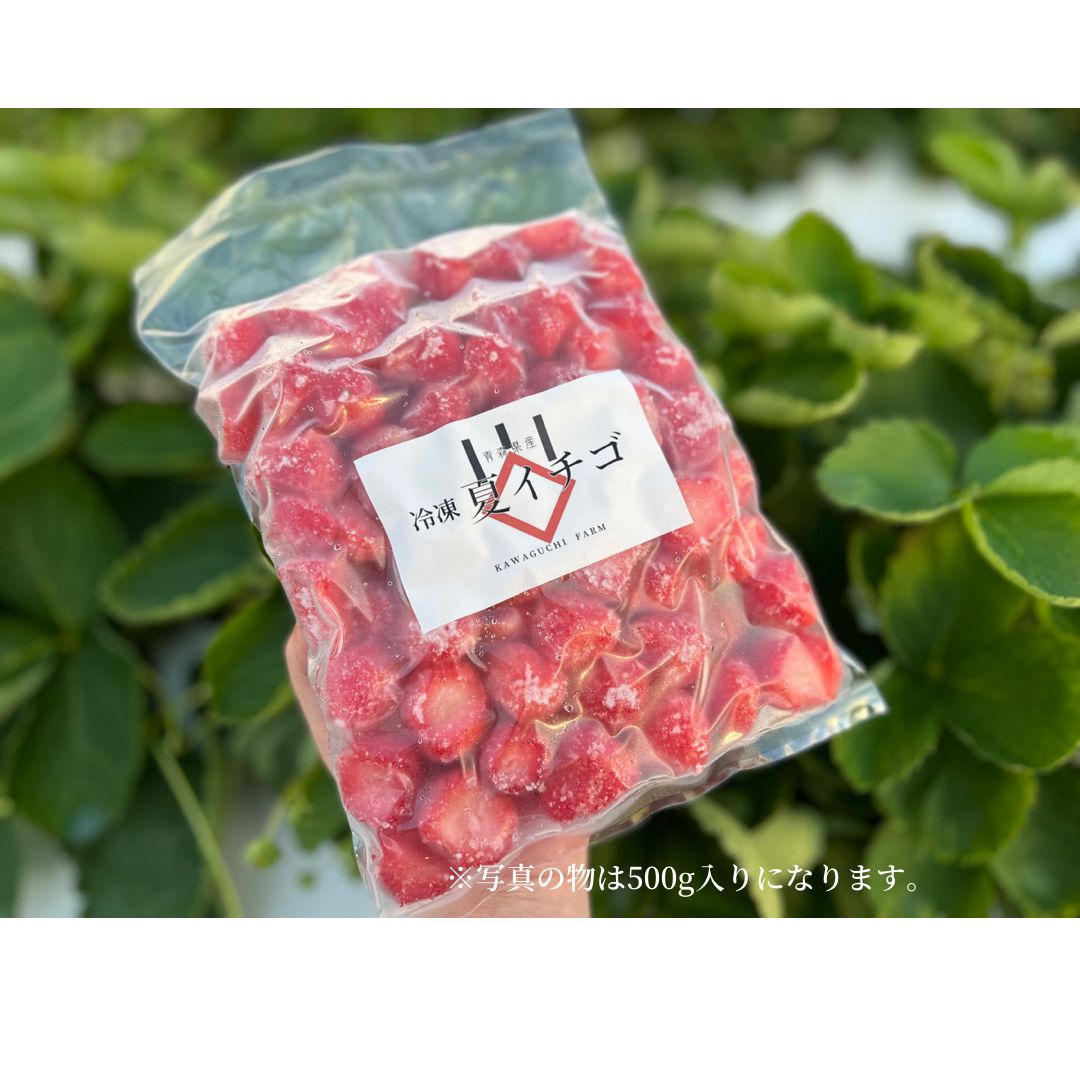 減農薬】青森県産 冷凍 夏イチゴ 10kg 冷凍イチゴ スムージー - メルカリ
