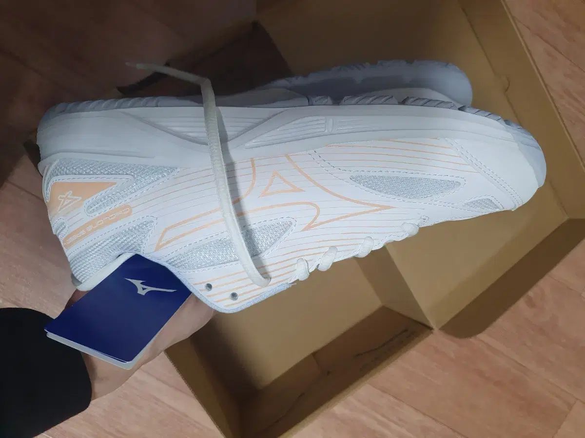 Mizuno ミズノ インド化 265 バドミントンシューズ