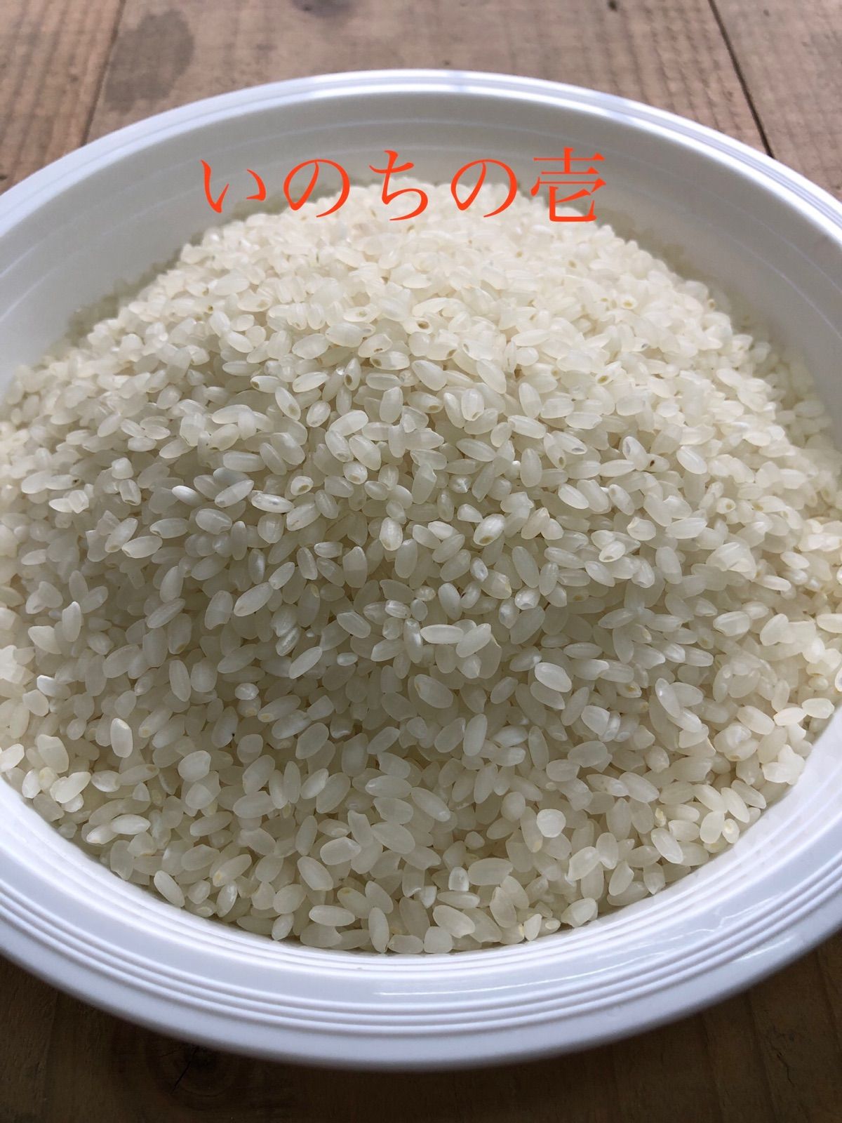令和5年度 いのちの壱　白米　無洗米　玄米　つき具合選べます　10kg  直送