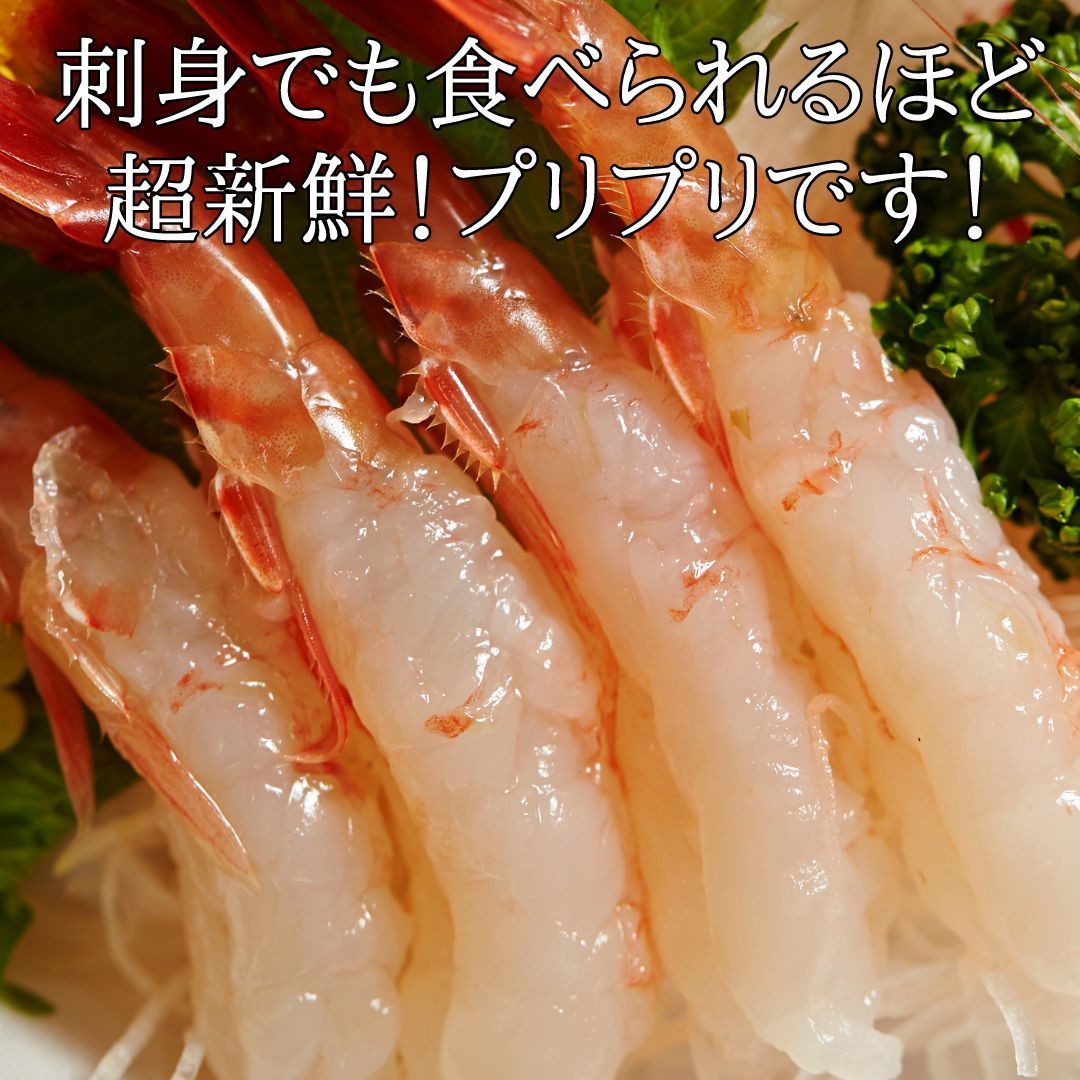 超特大・サンホルヘ湾の生赤エビ20尾セット【特殊CAS冷凍】海鮮BBQバーベキュー 刺身OK