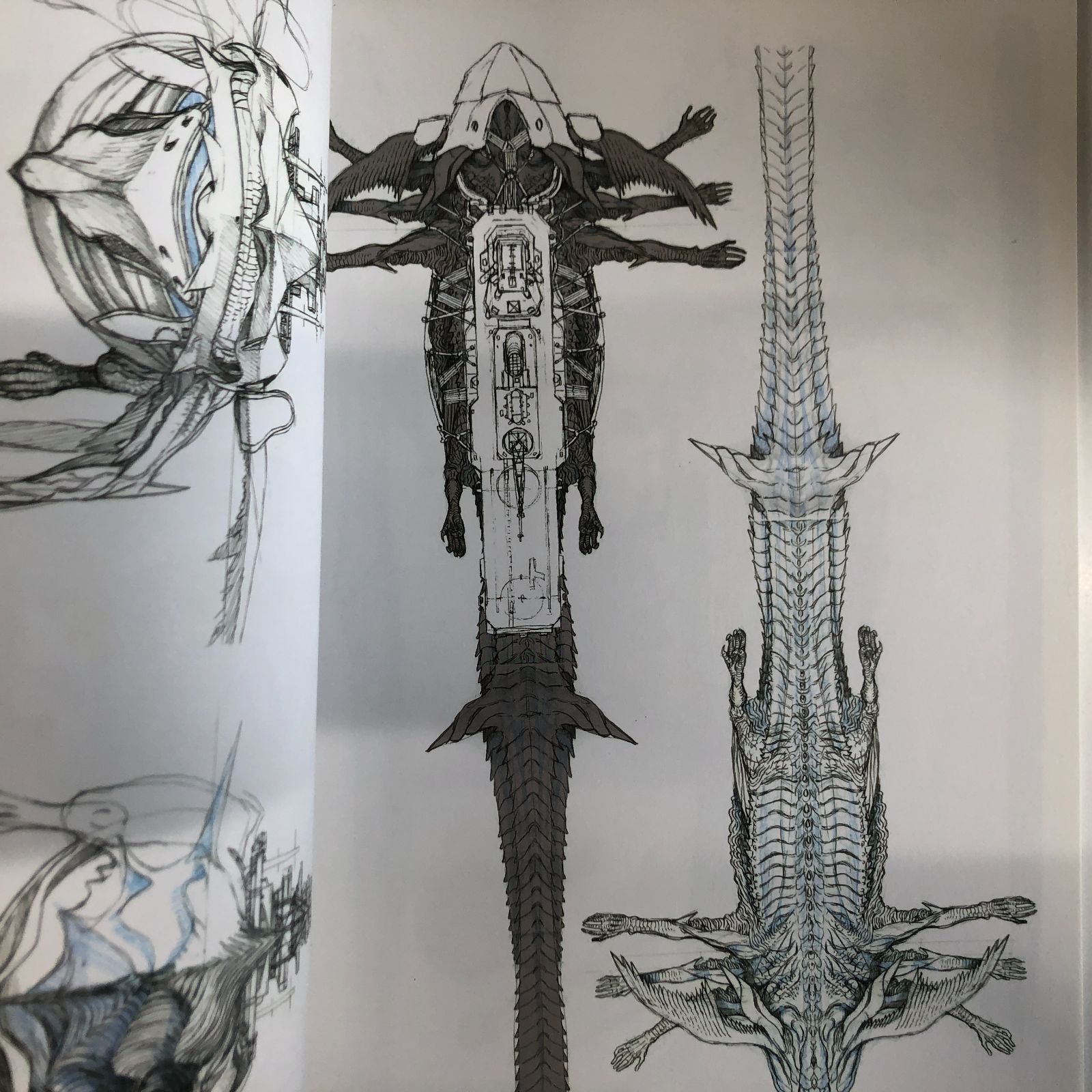 【激レア】 龍の歯医者 色紙 2025年最新】龍の歯医者の人気アイテム - メルカリ