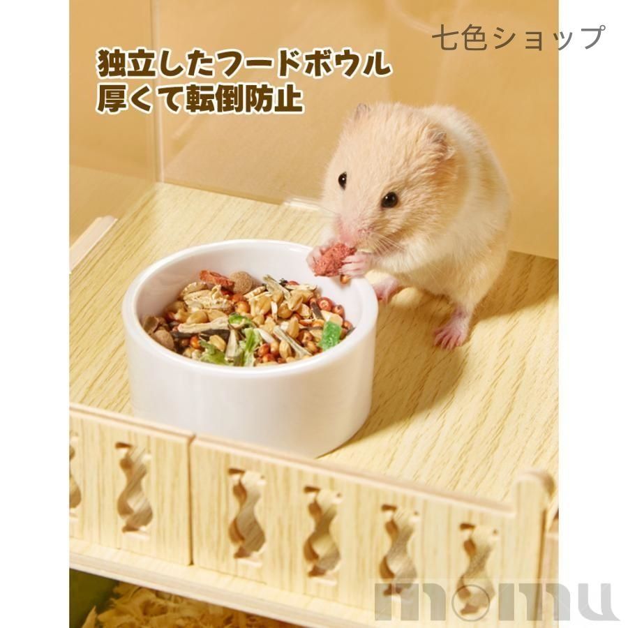 風通しがよい ゴールデンハムスター