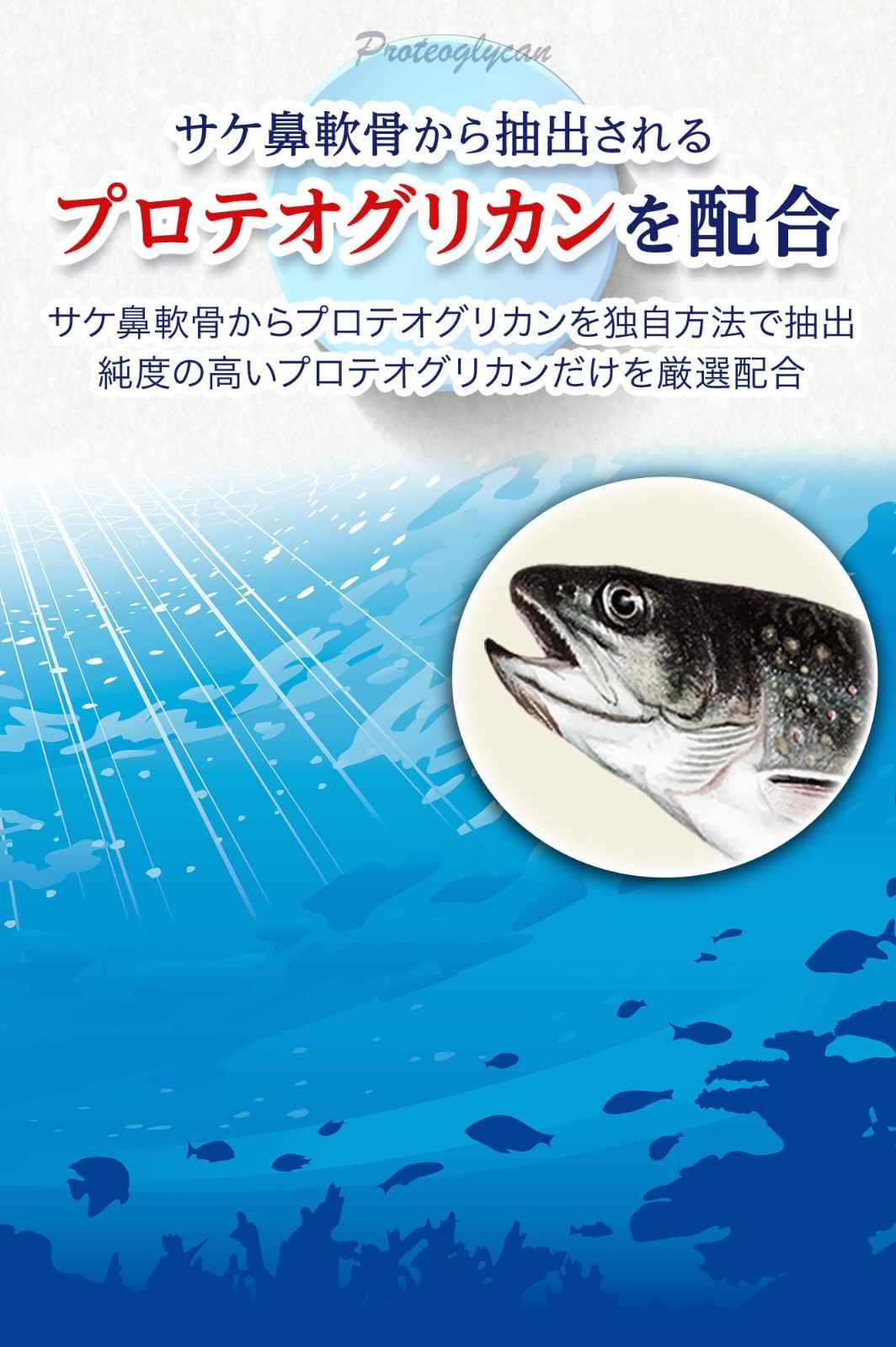 人気満点 健足生活 グルコサミン コンドロイチン カルシウム 120粒 ivv