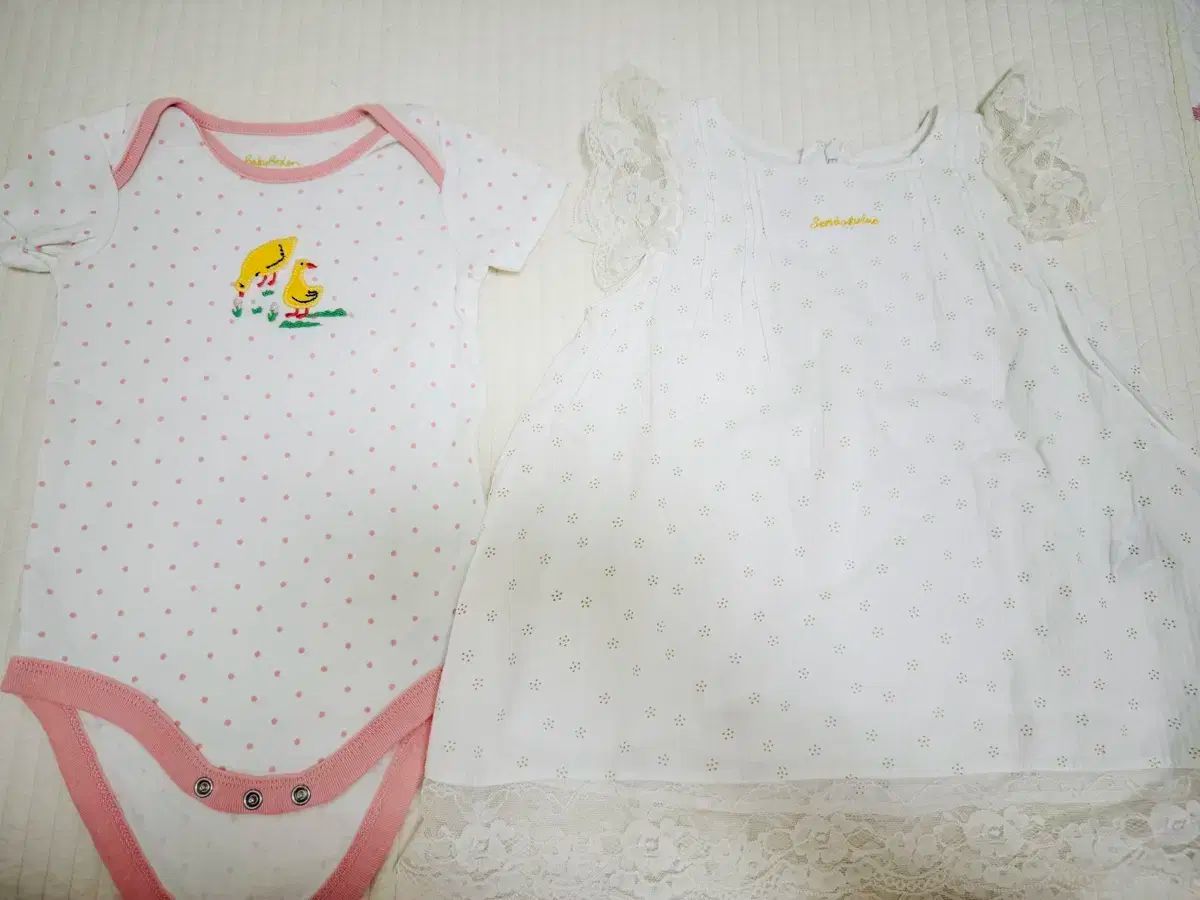 ポロベビー 2 種 ベビーボーデン 等 叢 6 蜂 STEELWINDOWSANDDOORS_COM