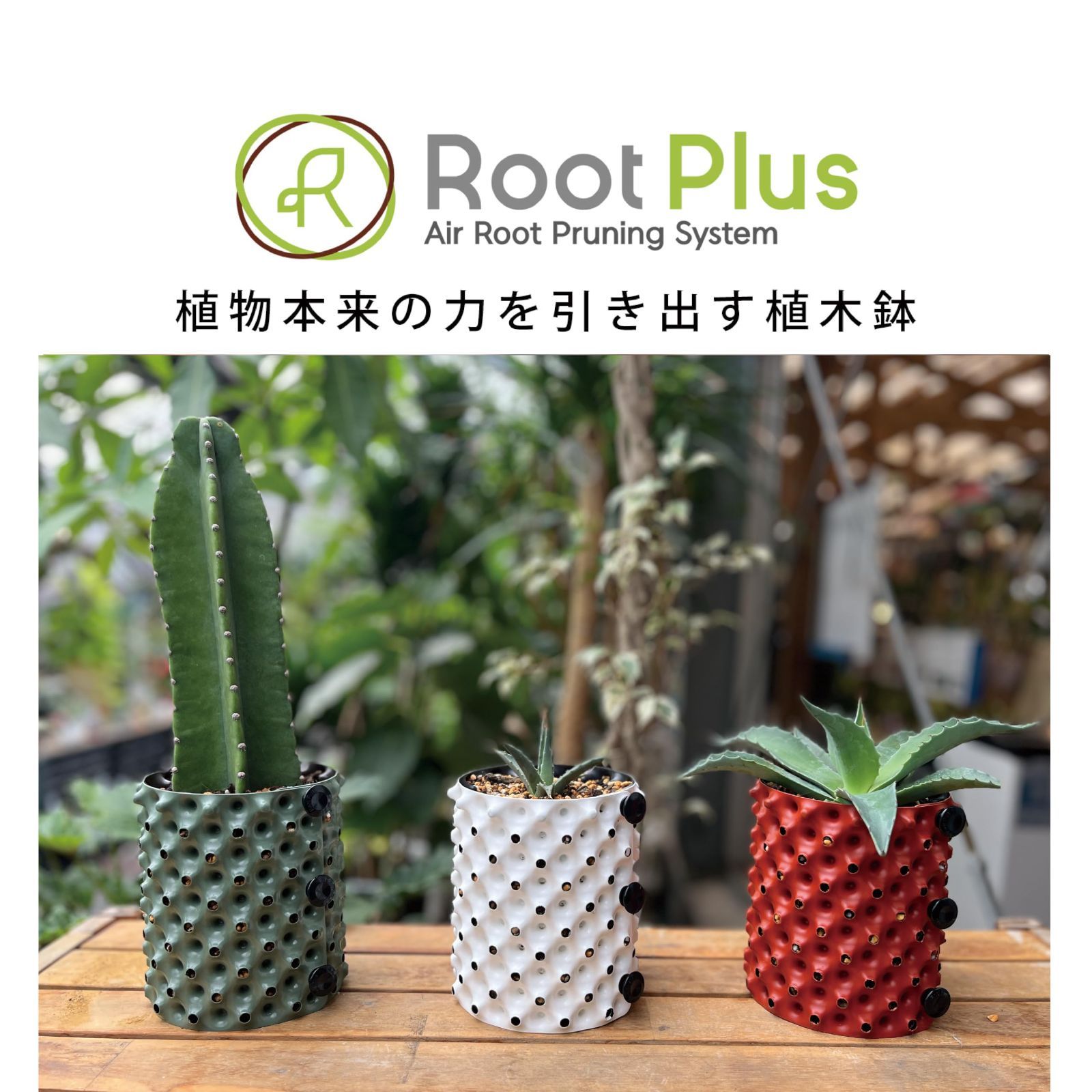 【人気商品】南榮工業(Nan-a Corporation) ルートプラスポットミニ 1.5L グリーン （植木鉢 園芸 観葉植物 屋内 サボテン 多肉植物 インテリア）