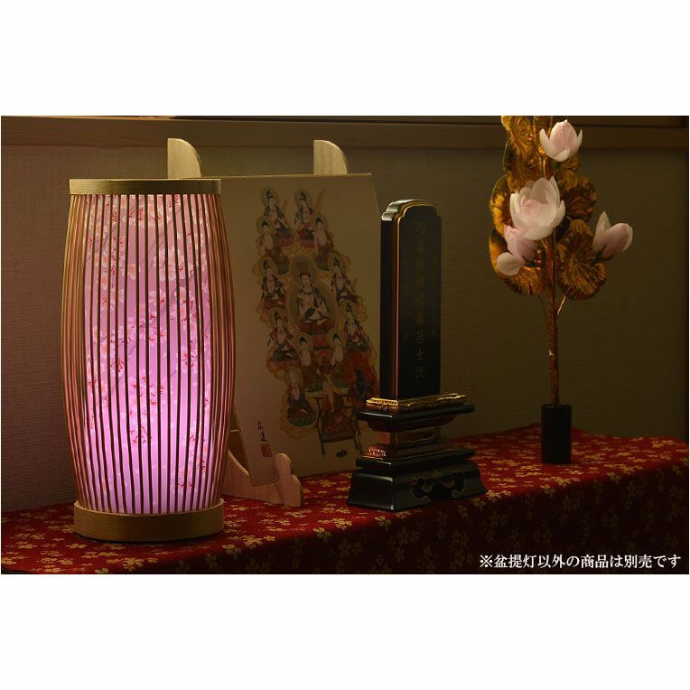 岐阜提灯 レインボーLED
