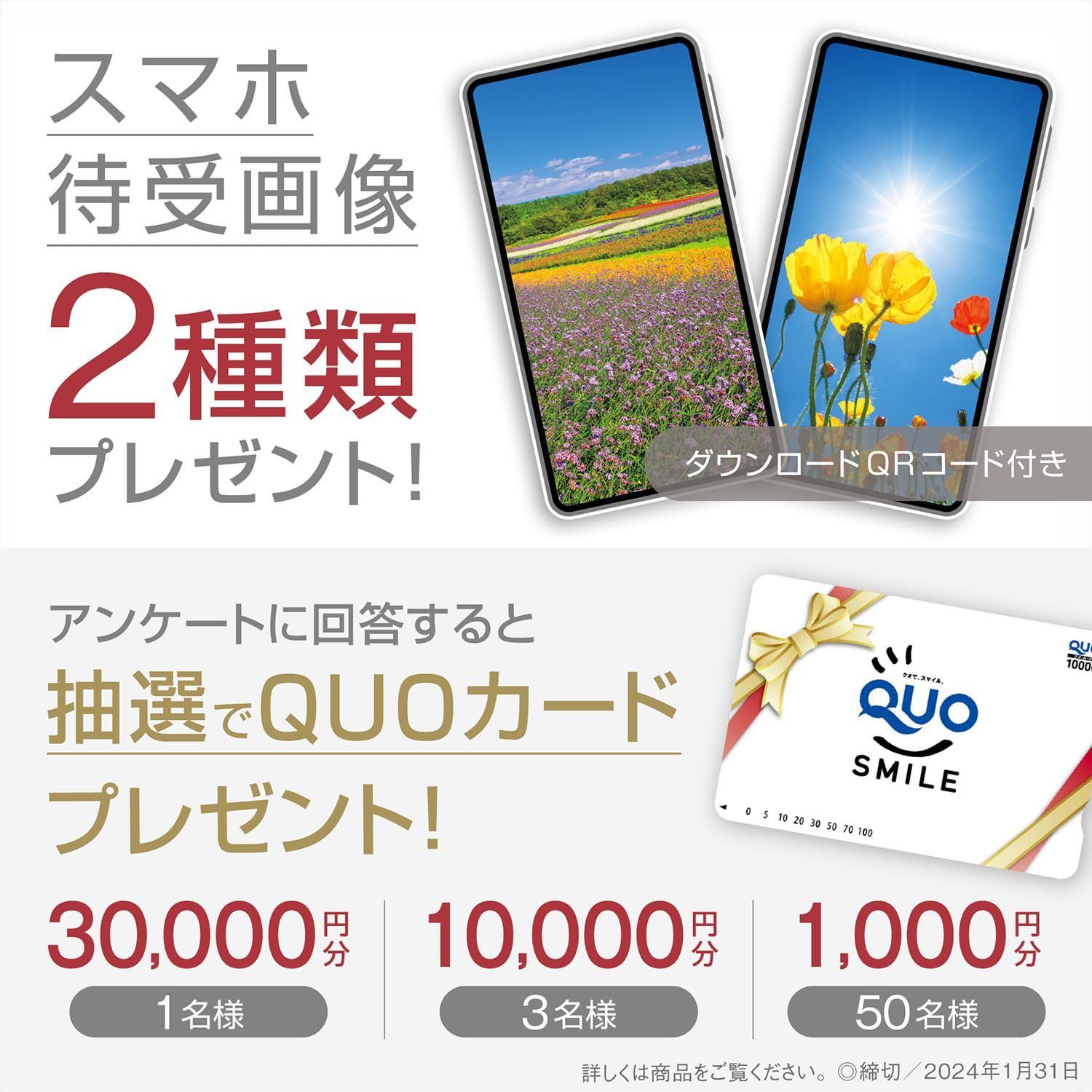 日本一美しい花風景を散歩する』 2024年カレンダー 壁掛け 風景 YE-07