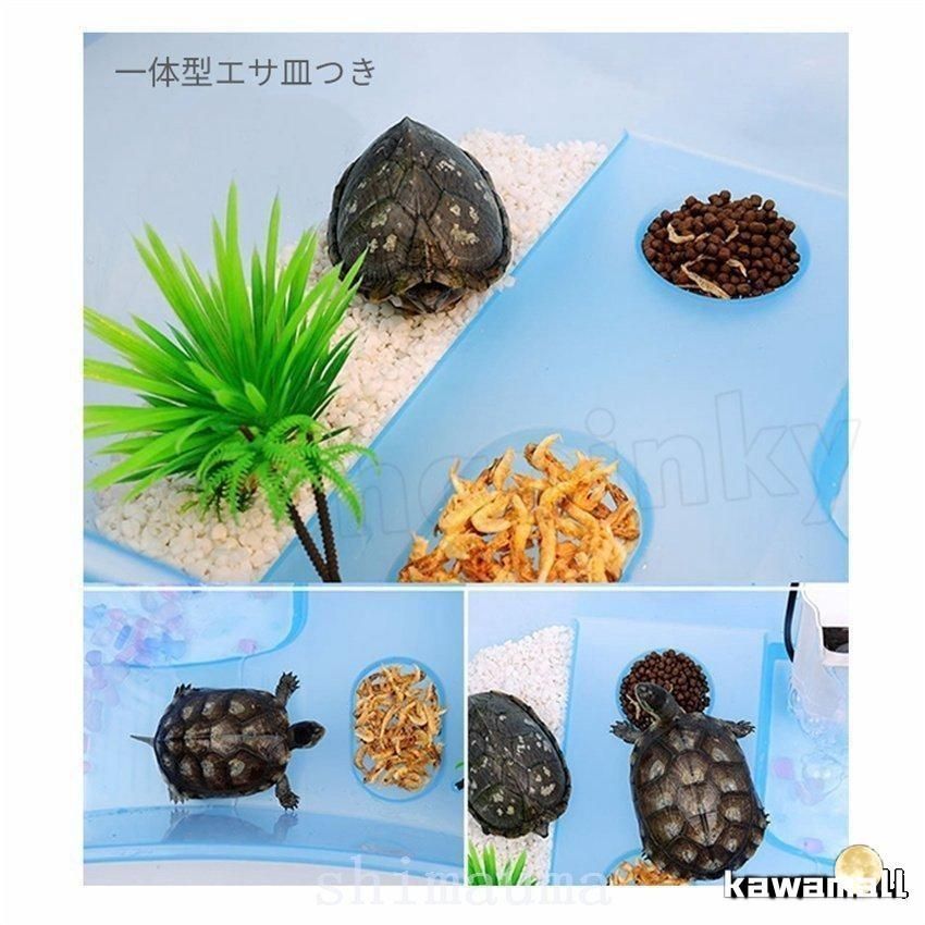 アクアプラント　根付  (小) リクガメ　守亜　４点セット　ストラップ　亀 アクアプラント 根付 (小) リクガメ 守亜 4点セット ストラップ