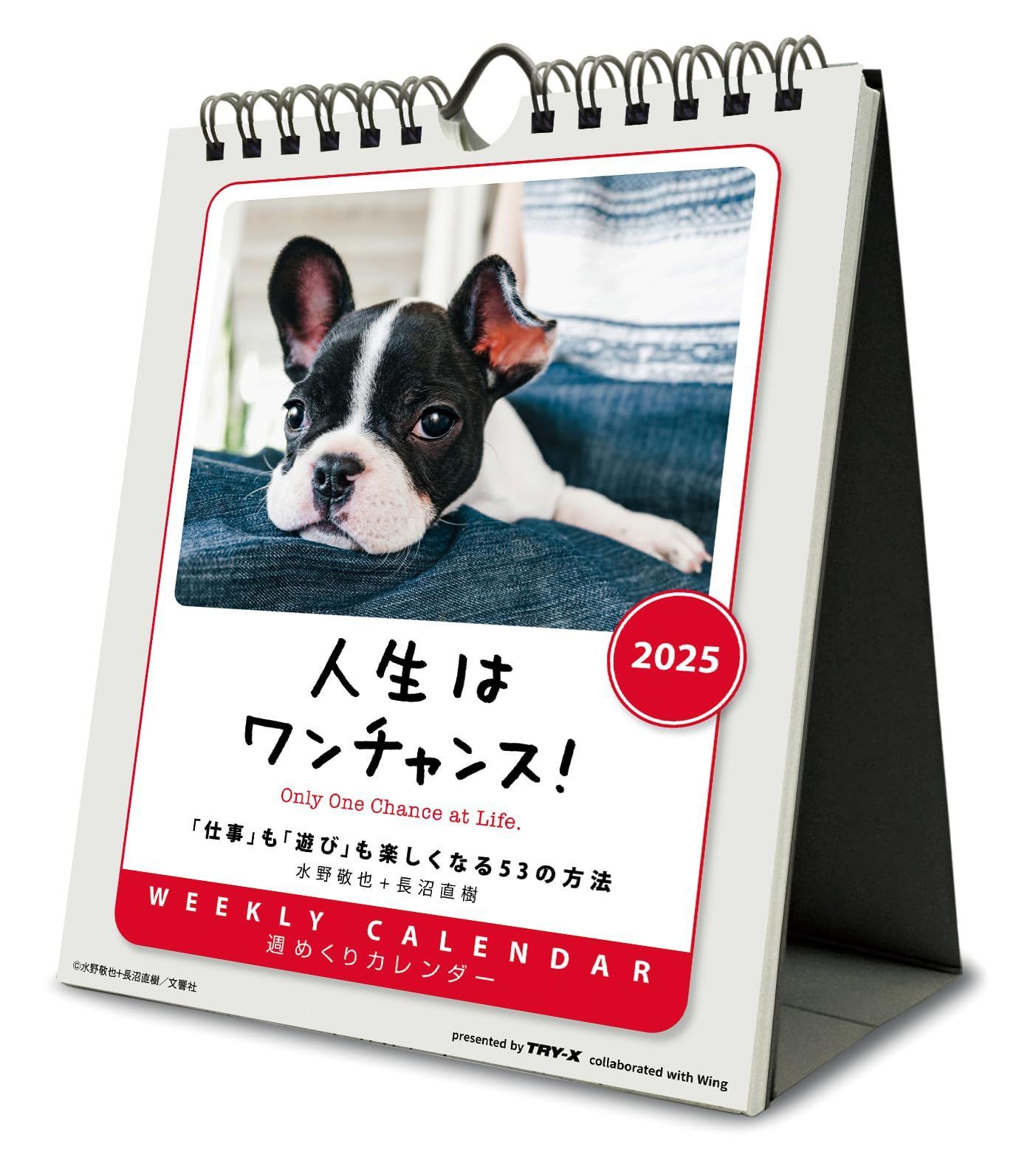 【在庫処分】ほとんどのFDMプリンターと互換性がある (1KG/Spool PLA+ 強靭で高強度 mm 0.02 2.2 +/- 寸法精度 3Dプリンター用フィラメント lbs) PLAプラス 1.75mm フィラメント 黒色 Plus PLA ELEGOO