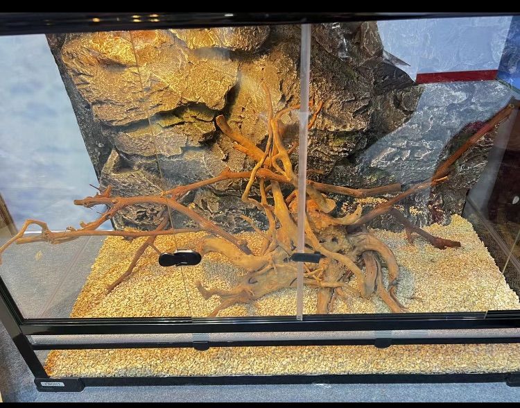 爬虫類両生類飼育ケージ組み立て式 ガラス飼育ケージ60x40x80cm