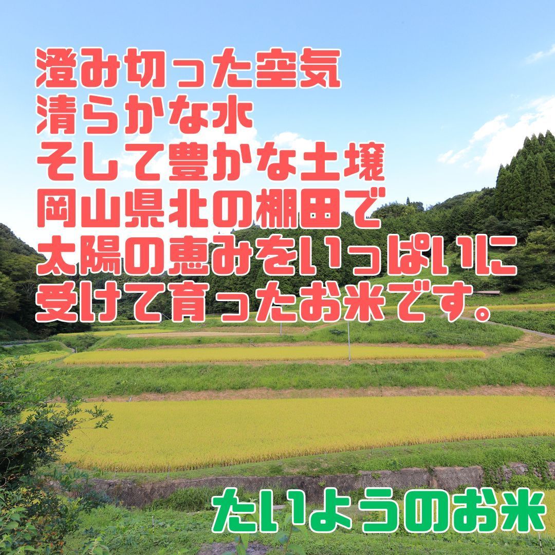【再入荷】 希少な岡山県産 農薬不使用 自然栽培・棚田米 令和6年度 玄米 U.S., Millet And Flour