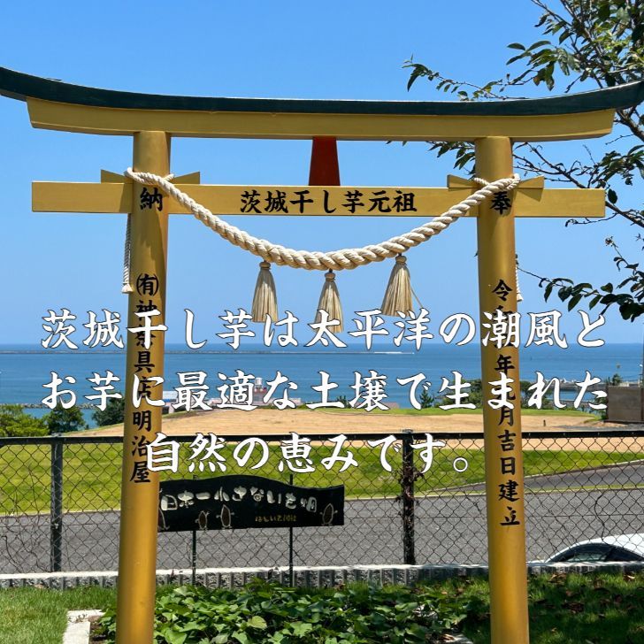 国産無添加 産地直送