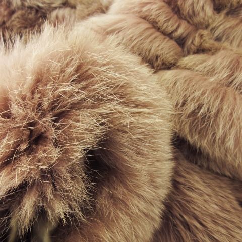 シルバーブルー Silver Blu イエムラ ファー IEMURA FUR ファー