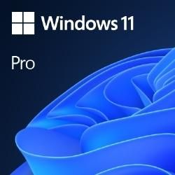 【新品・2営業日で発送】MICROSOFT マイクロソフト Win 11 Pro 64Bit Japanese 1pk DSP OEI DVD(FQC-10539)