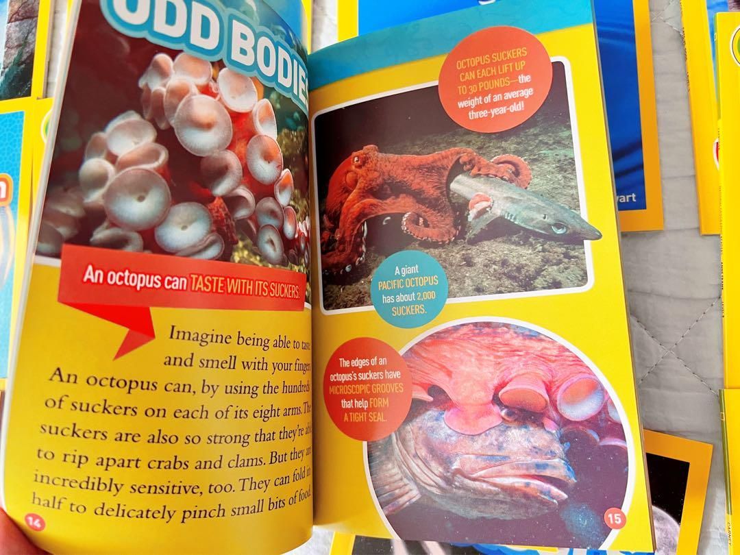 新品National Geographic Kids L3/38冊英語絵本 洋書
