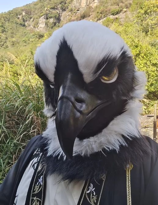 着ぐるみヘッド 鳥 NO.93 リアルスタイル 全頭ヘッド ケモノ ファースーツ ぬいぐるみ コスプレ コスチューム kigurumi