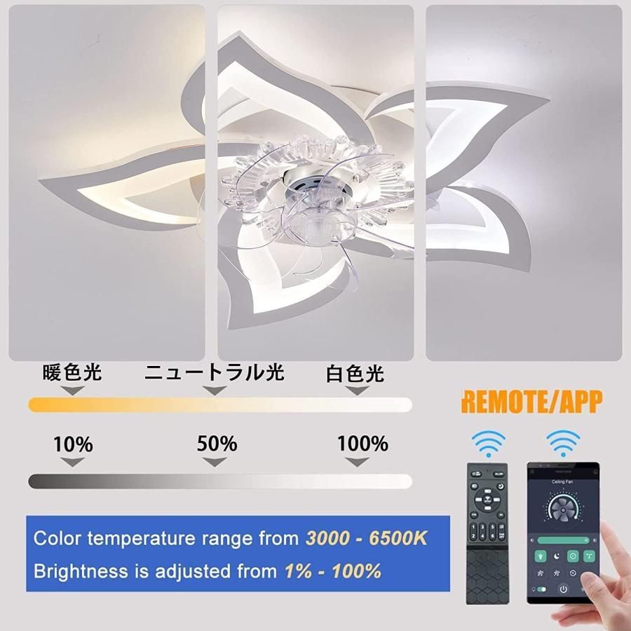 サーキュレーター