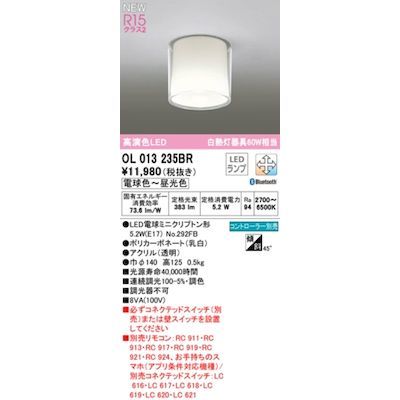 【新品・7営業日以内発送】オーデリック ODELIC OL013235BR ランプ別梱包【沖縄離島販売不可】