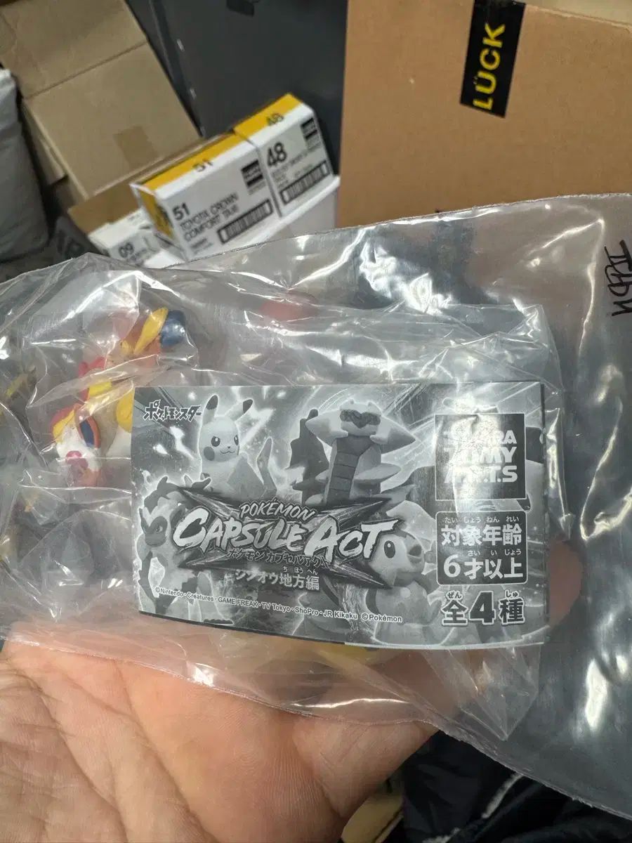 カプセル 行為