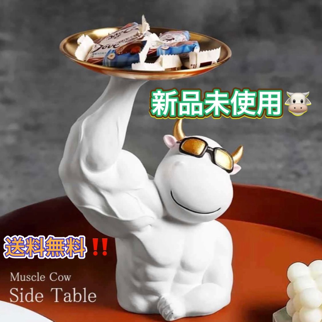 2025年最新】タネから多肉 ミソップさん苗の人気アイテム - メルカリ