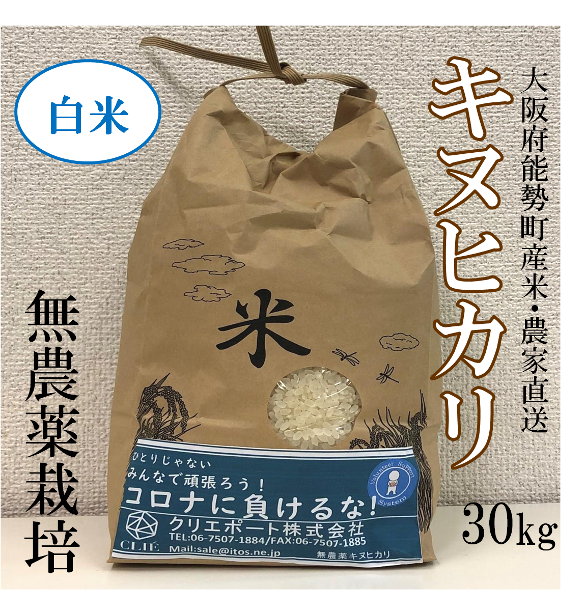 お米【令和3年産】　キヌヒカリ　30kg 　大阪府産　農家直送