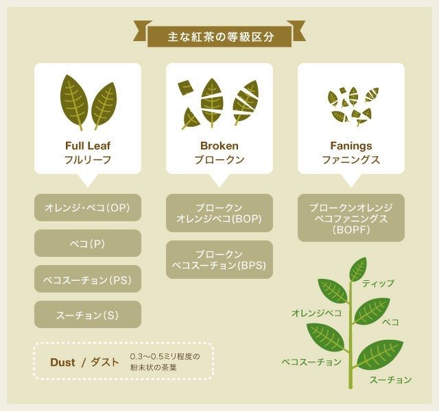 残りわずか】 スリランカ産紅茶葉 セイロンティー BOPF 40g