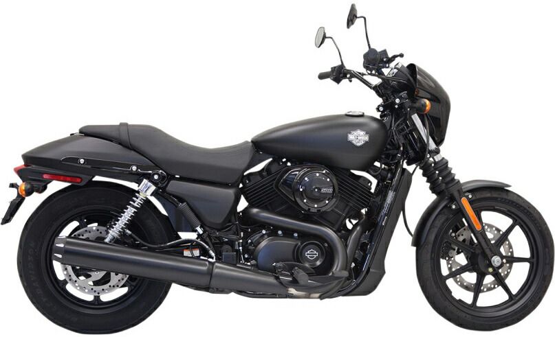 Bassani スリップオンマフラー ストレートカット ロングレングス|2015〜20年XG500|750
