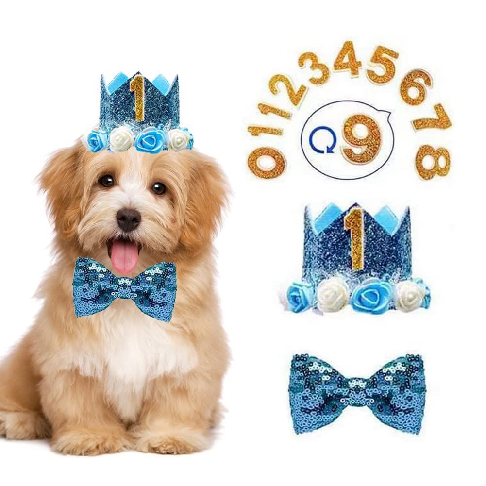 色:ブルー】犬 猫用 誕生日グッズ 犬 誕生日帽子 3点セット バースデー帽子 メルカリShops