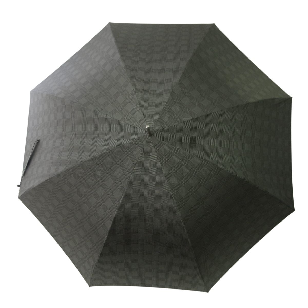 アイリッシュセッター