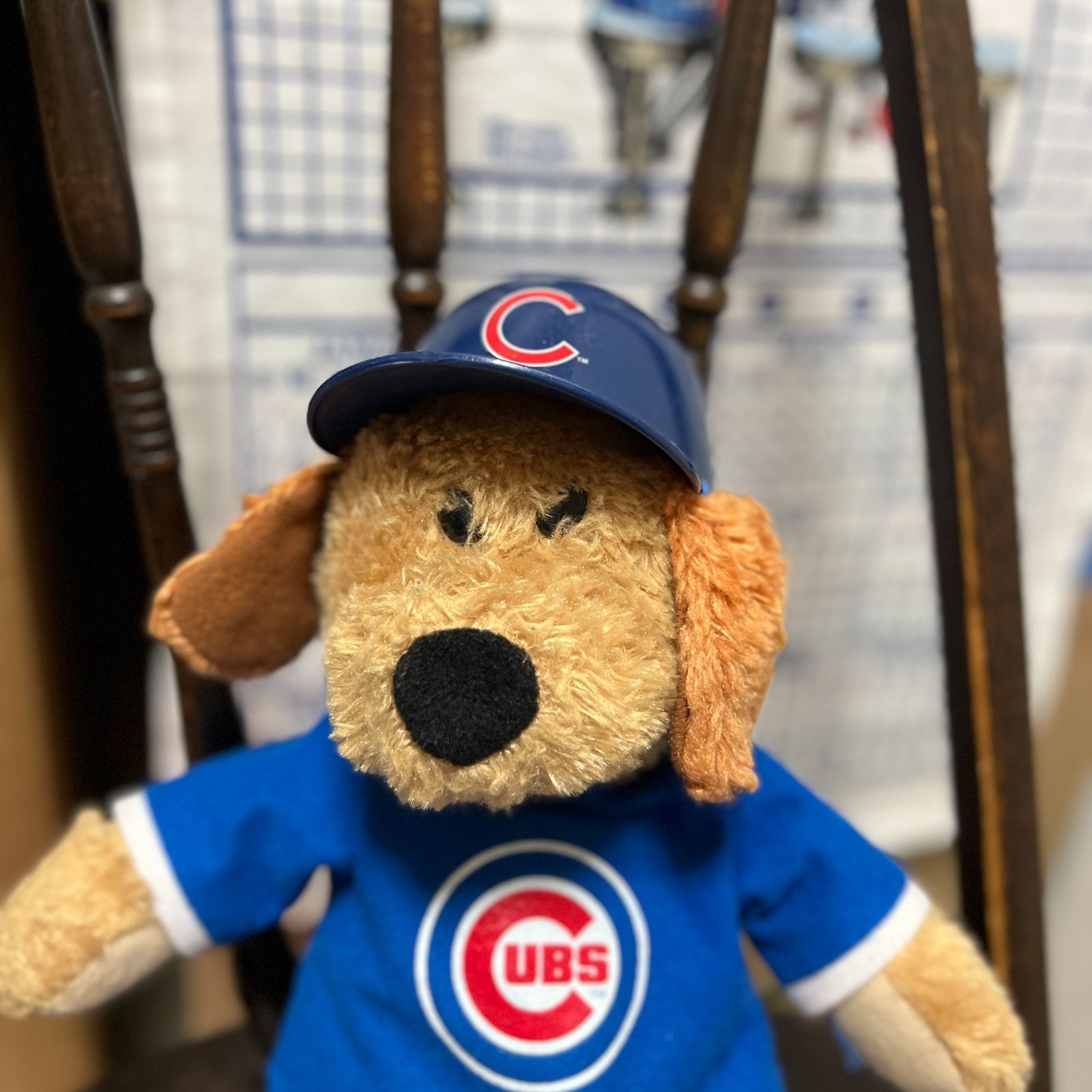 PETS FIRST MLB【PHILADELPHIA PHILLIES】 メジャーリーグ PETS FIRST MLB【PHILADELPHIA PHILLIES】 メジャーリーグ