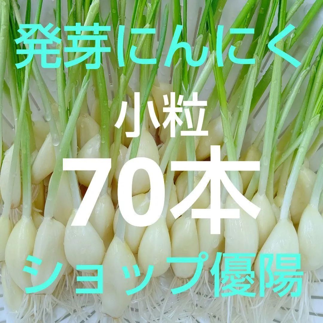 2 発芽にんにくスプラウト 小粒60本プラス！ - 野菜