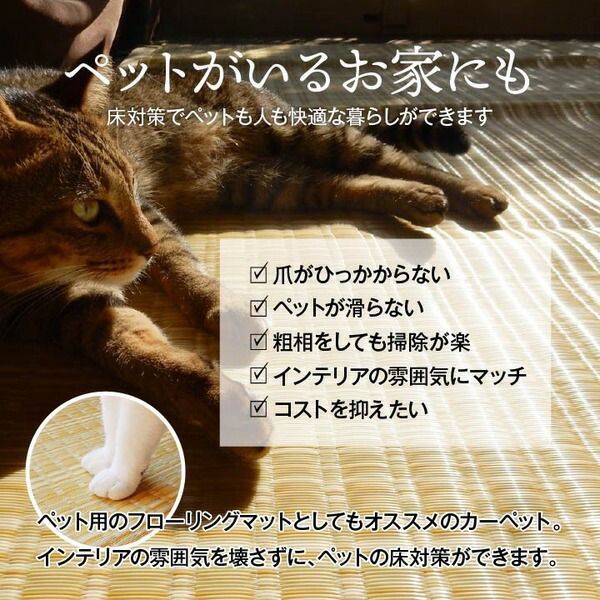 い草 ラグ 江戸間4.5畳 カーペット | 洗える ござ 4.5畳 江戸間 ベージュ ラグマット⁄絨毯 マット 風 約261×261cm 花ござ 江戸間8畳|ファミリー・ライフ公式通販