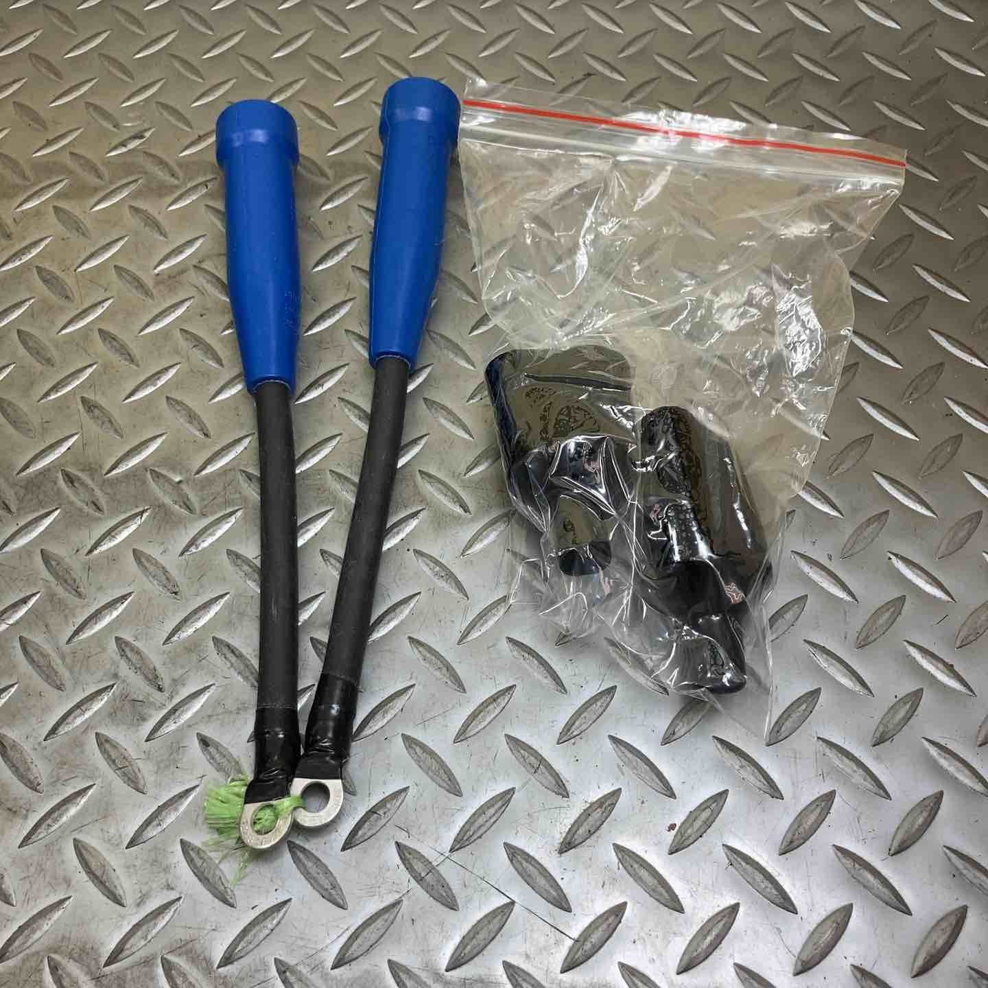 レグルス Regulus