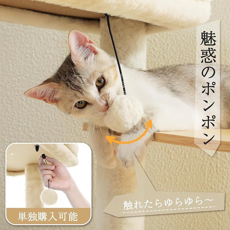 コンパクト