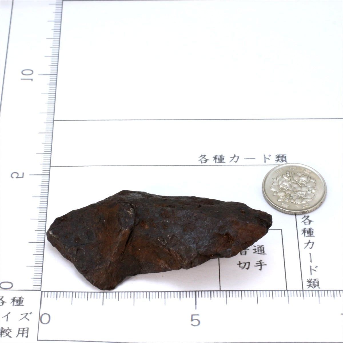 キャニオンディアブロ 隕石 124g オクタへドライト 鉄隕石 原石 M2507 キャニオンディアブロ 隕石 124g オクタへドライト 鉄隕石 原石