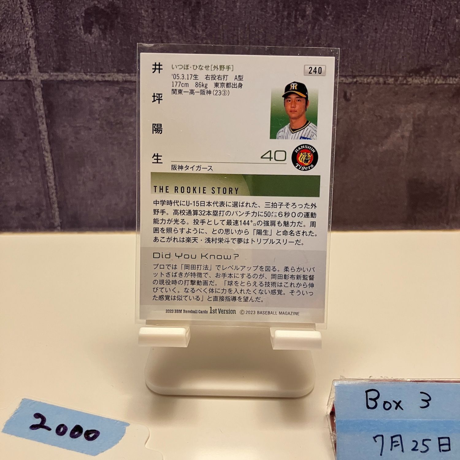 セール！BBM 阪神タイガース RC 井坪陽生 直筆サインカード 阪神タイガース BBM 2025 井坪陽生 直筆サイン - メルカリ