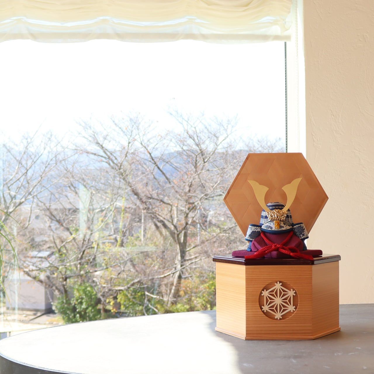 鉢 陶器 手びねり 植物 アガベ パキプス 盆栽 陶器 鉢 手びねり アガベ