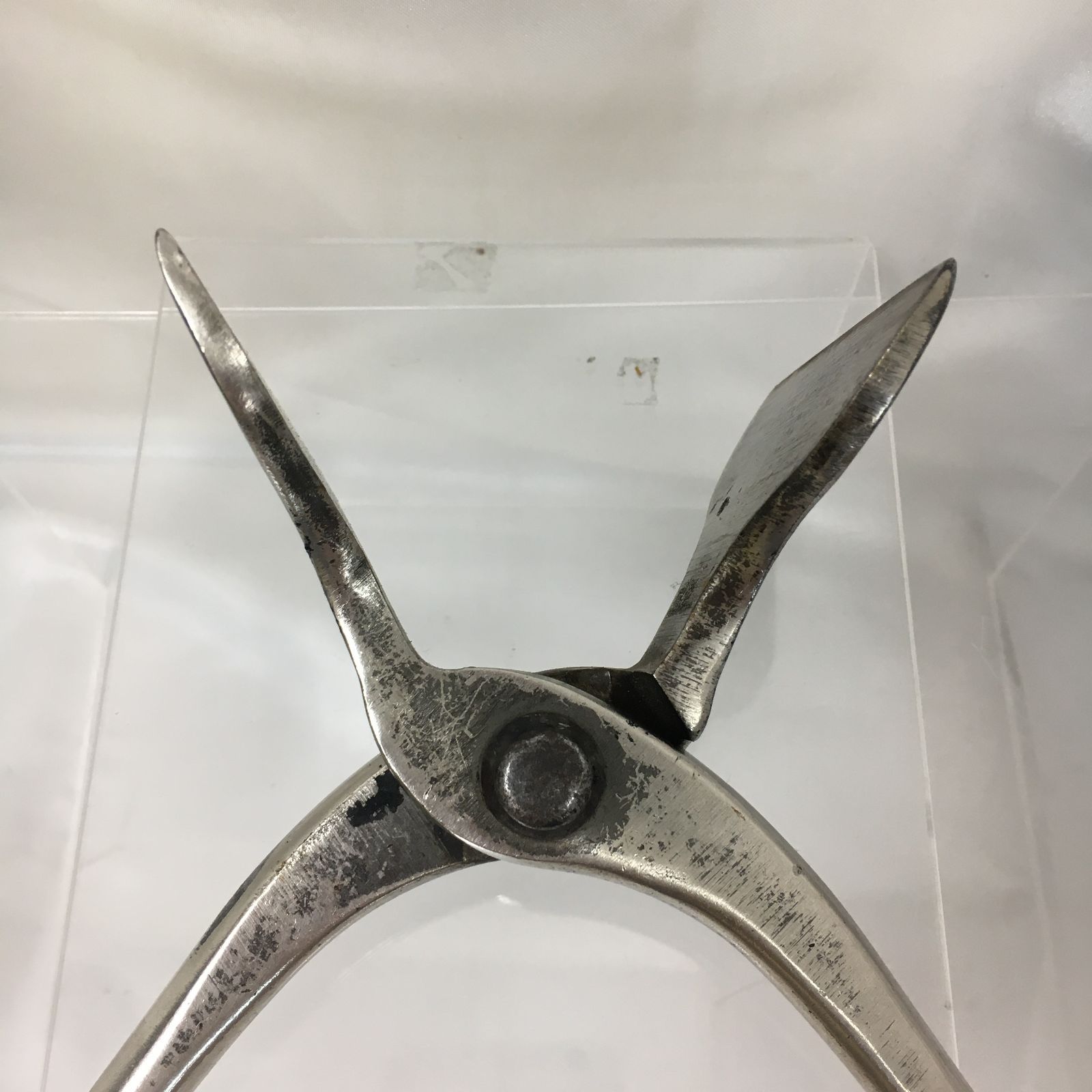 モリブデン 盛光