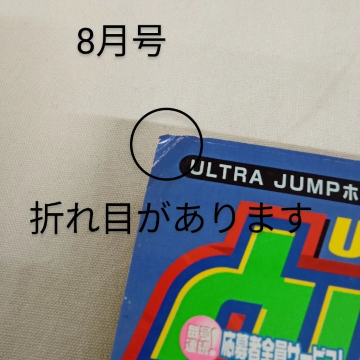 ウルトラジャンプ 2002年 vol7.8セット 天獄 天上天下 銃夢
