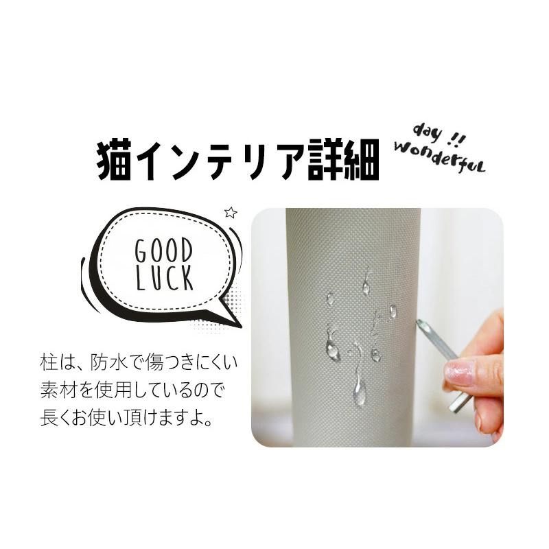安定 運動不足解消