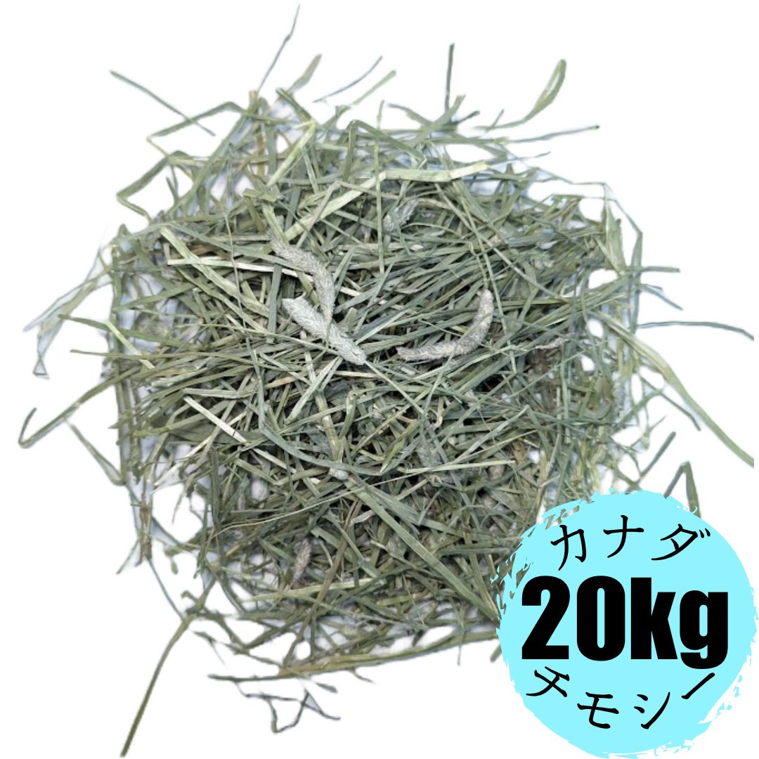 カナダチモシー20kg カナダ産 チモシー 20kg - メルカリ