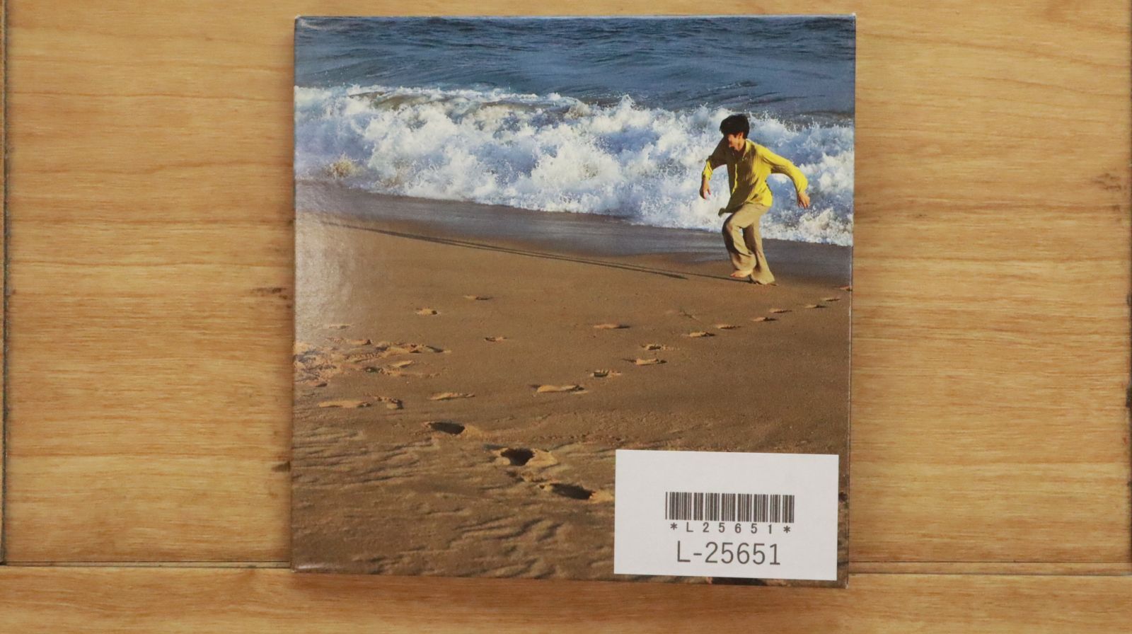 ブルーノグルーニング　本　CDセット 希少 ブルーノグルーニング 本 CDセット 希少 - メルカリ