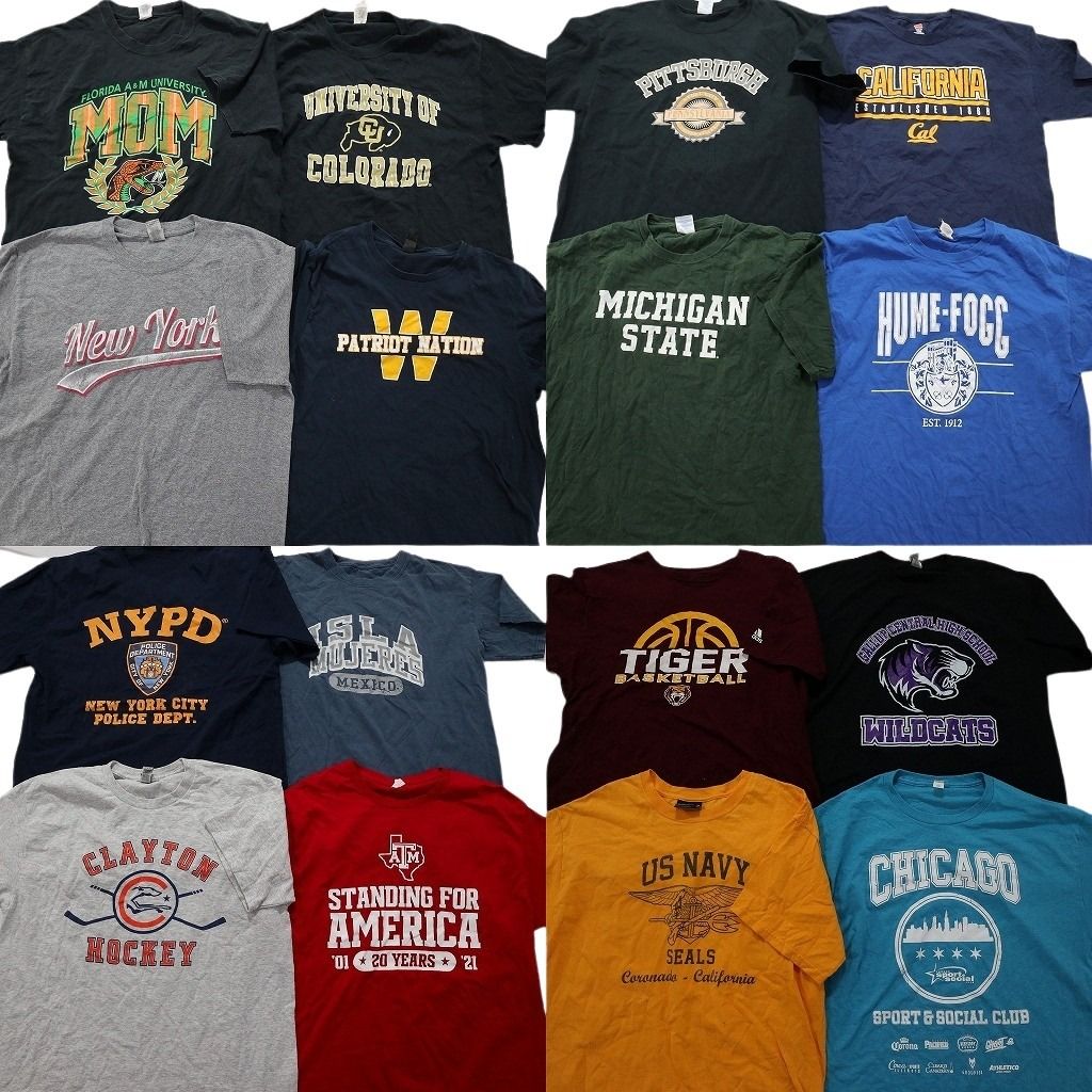 古着卸 カレッジ風 半袖Tシャツ 16枚セット メンズ L シカゴ ミシガン カリフォルニア ニューヨーク 古着 NA2122