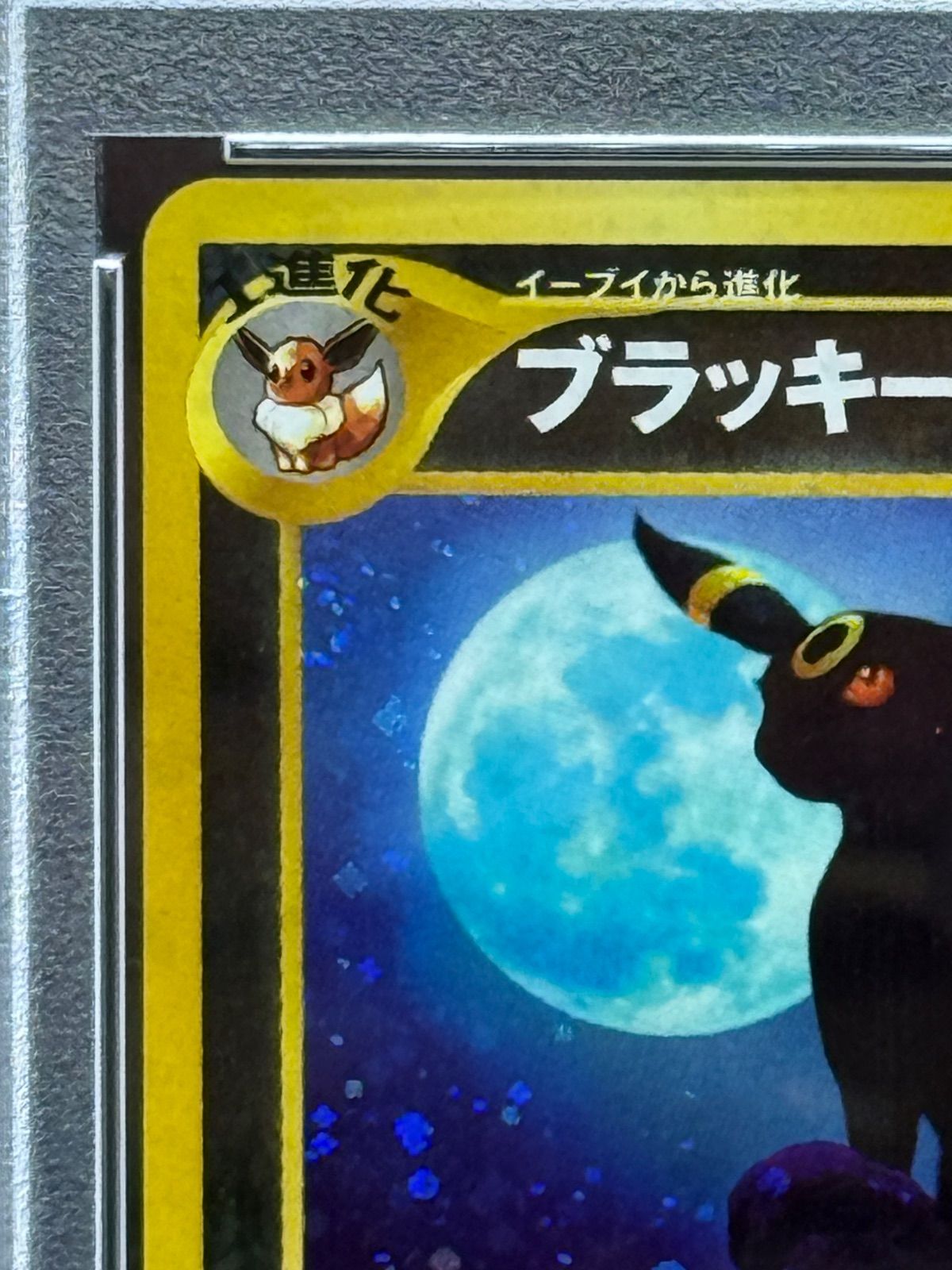 ブラッキー 旧裏 PSA10 遺跡をこえて
