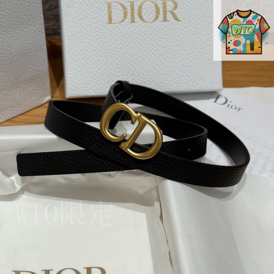 今日WTO】Dior ディオール サドル ダブルフェイス ベルト-VM71