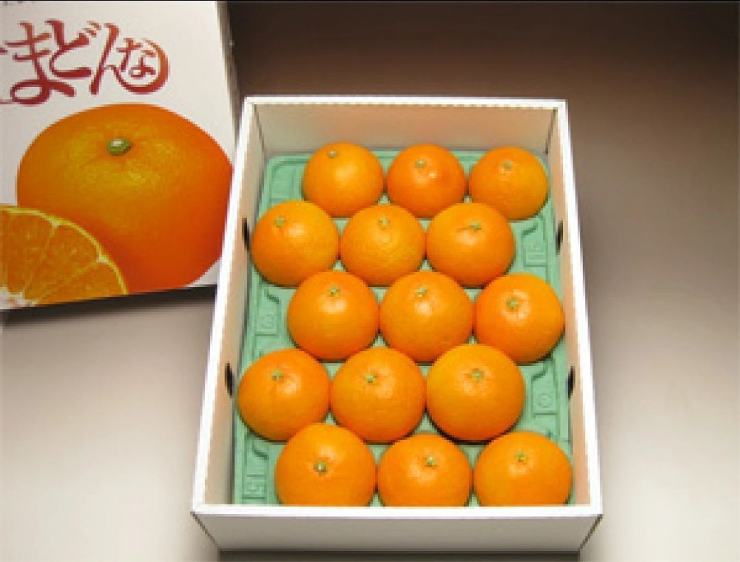 ご贈答用に最適