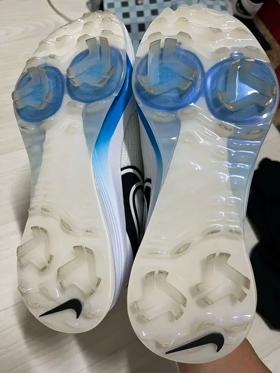 ナイキボア ゴルフシューズ 245 LLC-HASEGAWATOSO_COM